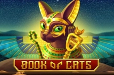 Book Of Cats BGAMING